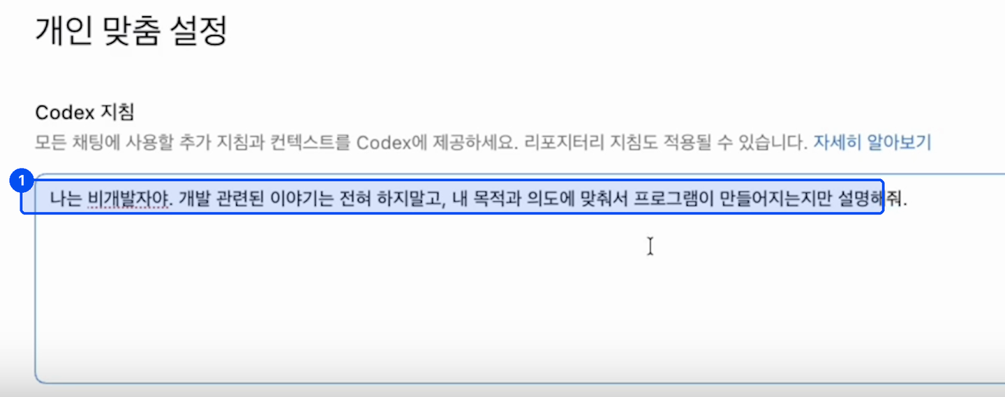 개인 맞춤 설정 화면의 Codex 지침 칸에 나는 비개발자야로 시작하는 문장이 적혀 있다